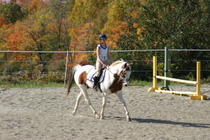 Looking quite Dressage-y at the Hunter show.